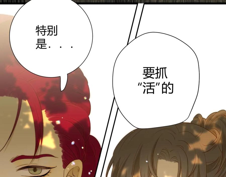 第214页