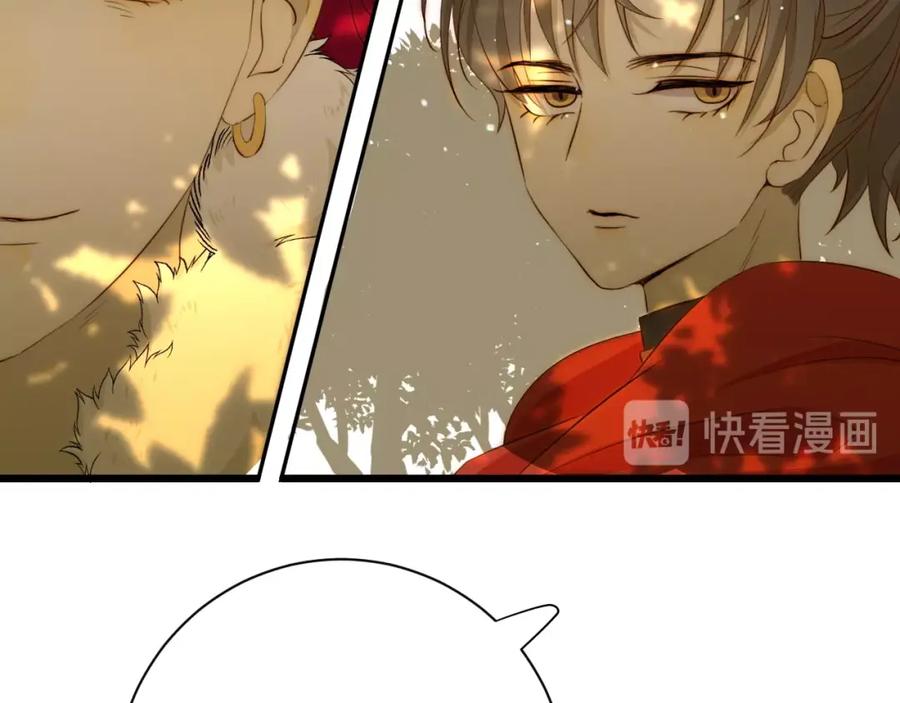 第215页