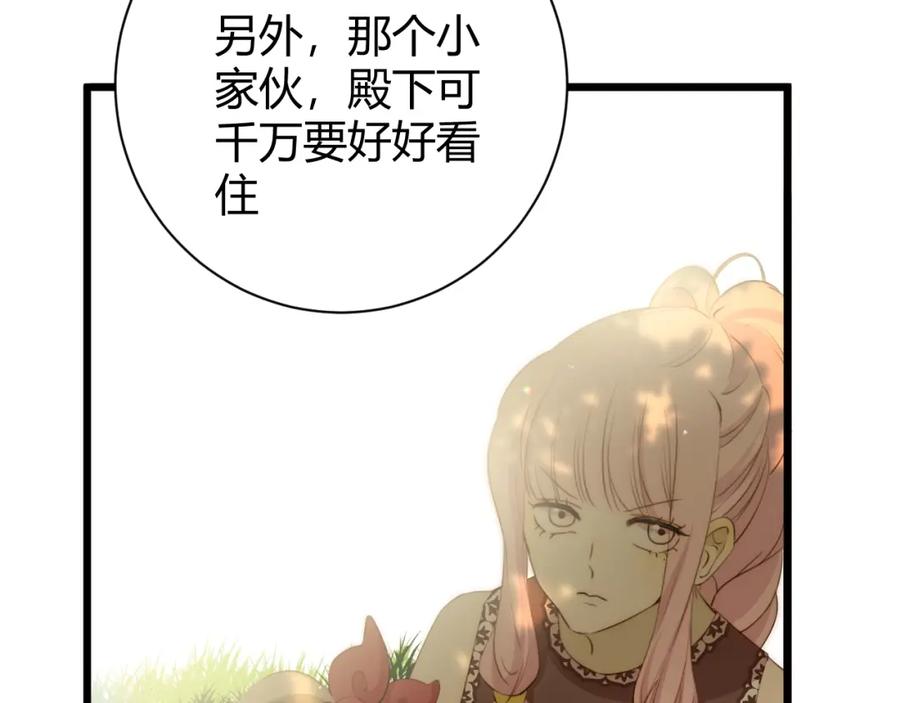 第216页