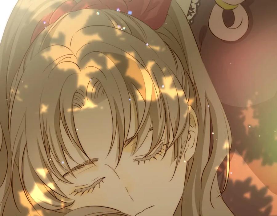 第219页