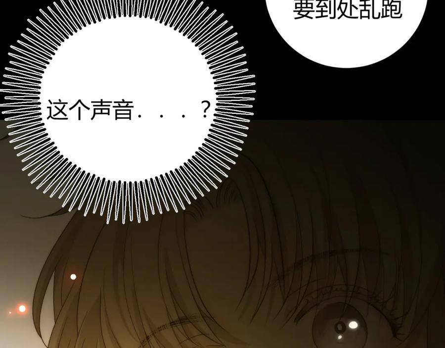 第231页
