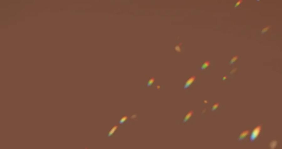 第198页