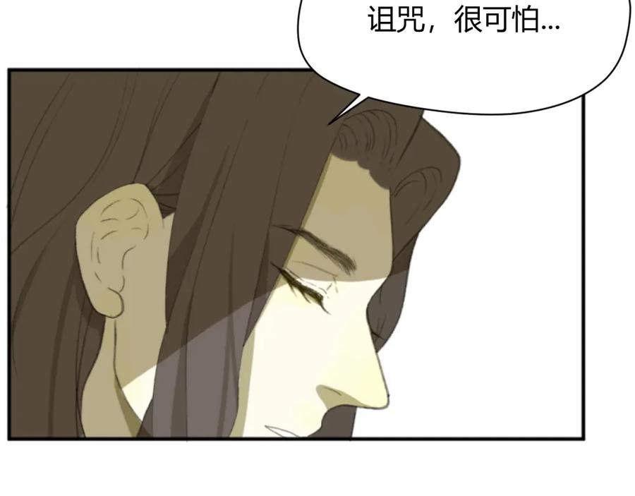 第223页