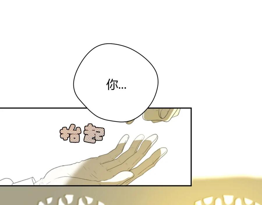 第226页