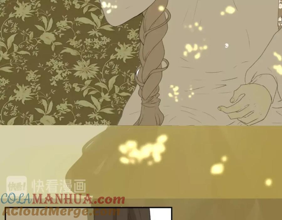第229页