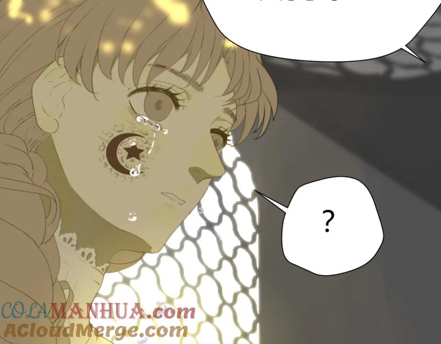 第233页