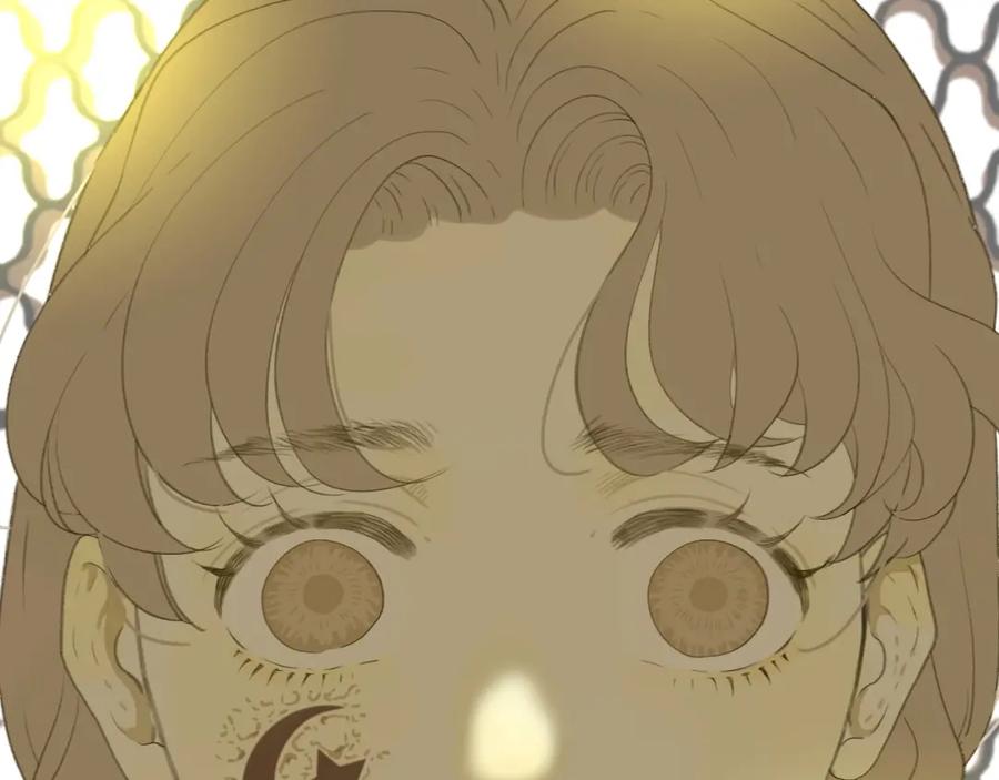 第236页