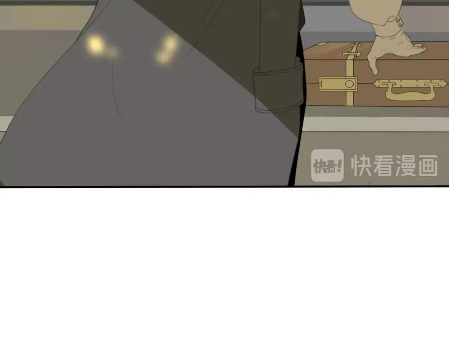 第240页