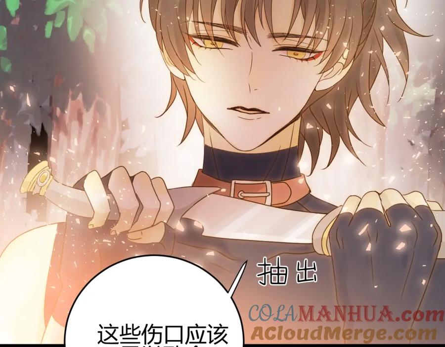 第205页