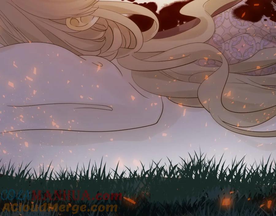 第213页