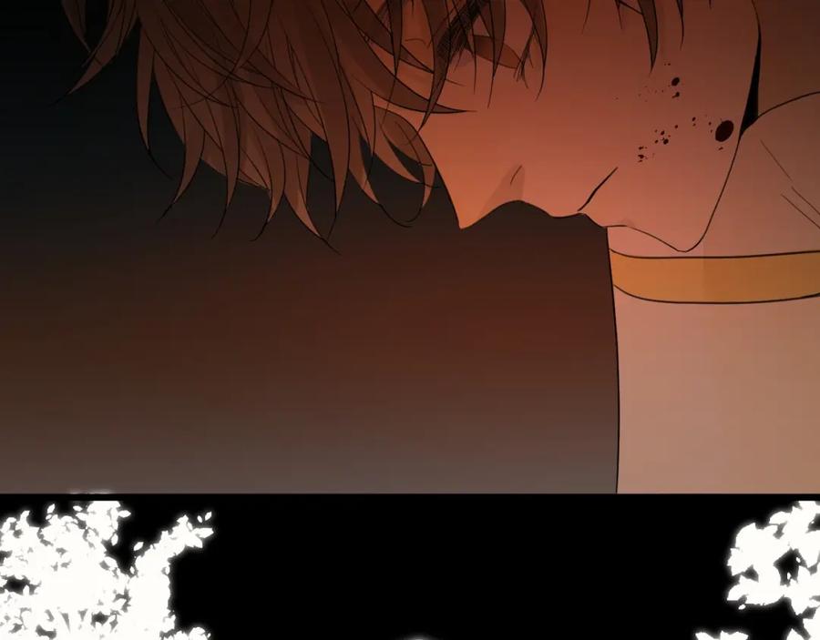 第206页