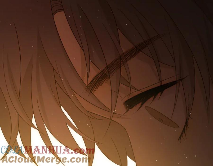 第221页