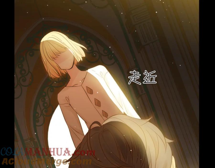 第229页