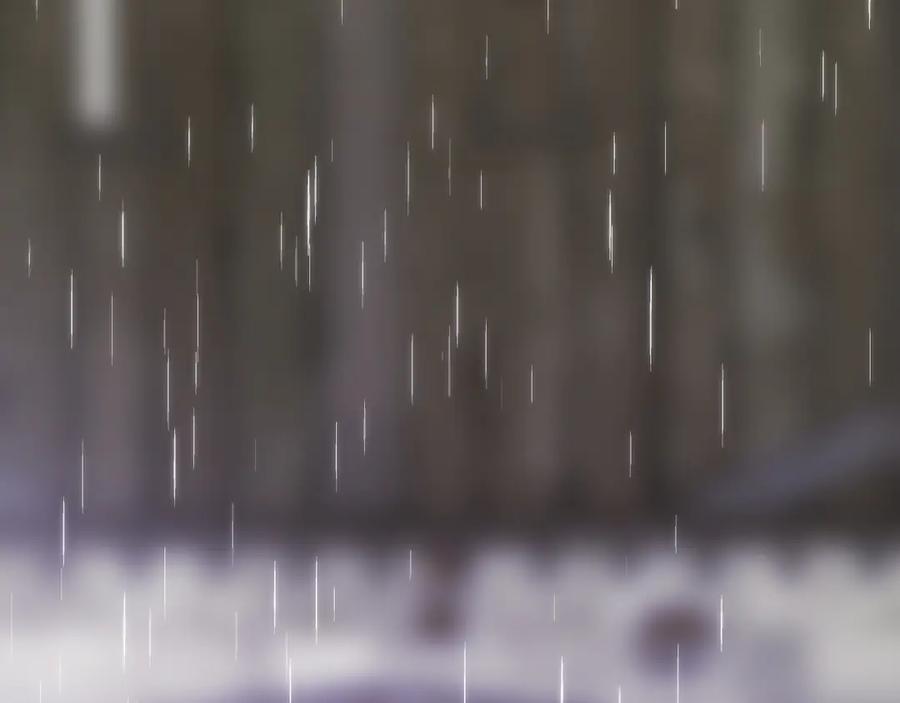 第218页