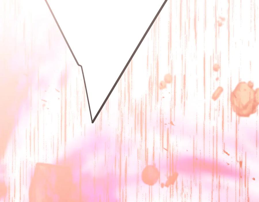 第242页