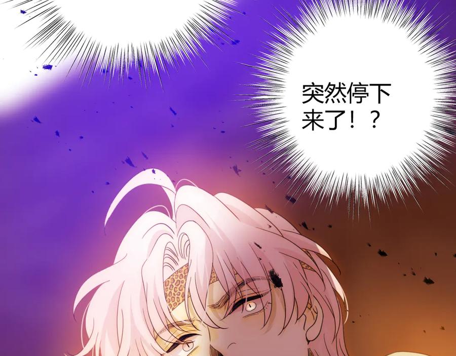 第259页
