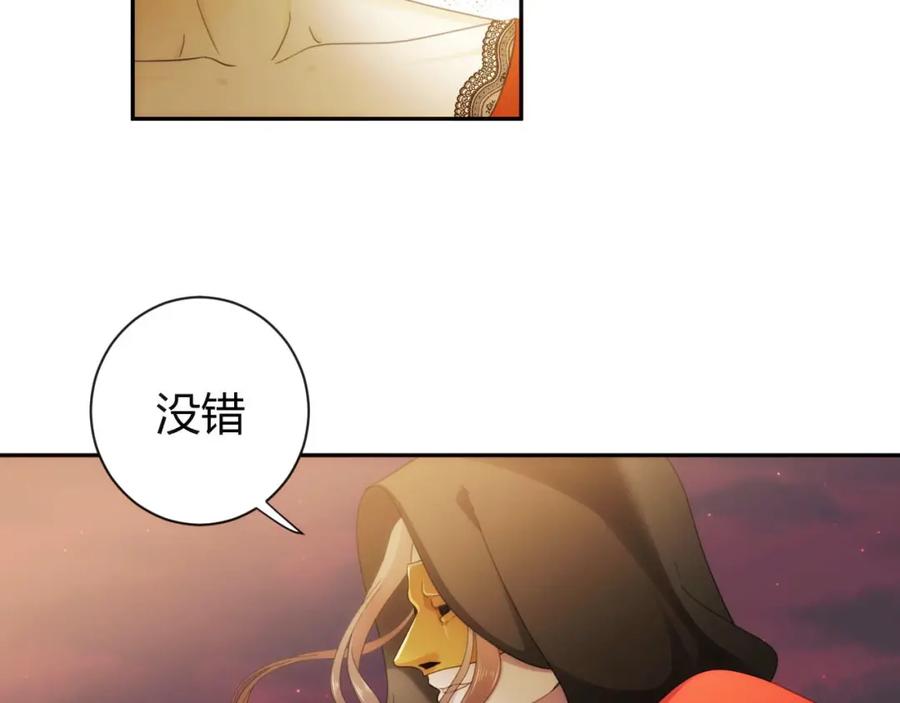 第224页