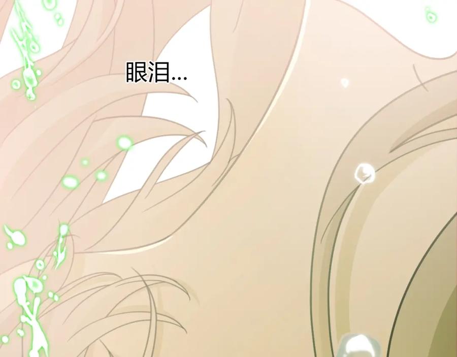 第266页