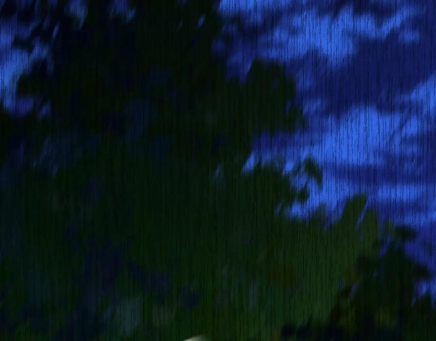 第417页