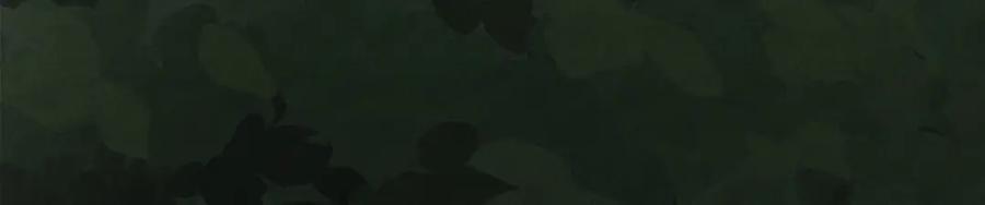 第235页
