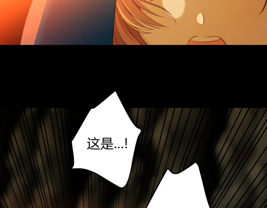 第215页