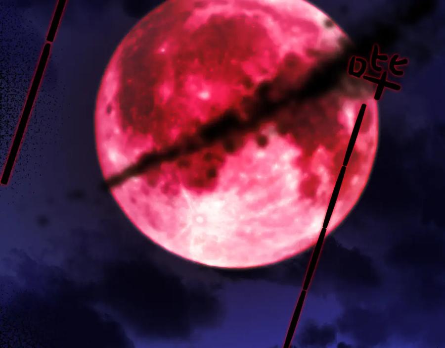 第243页