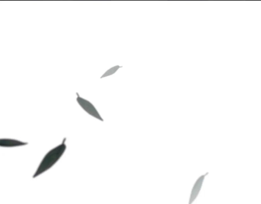 第207页