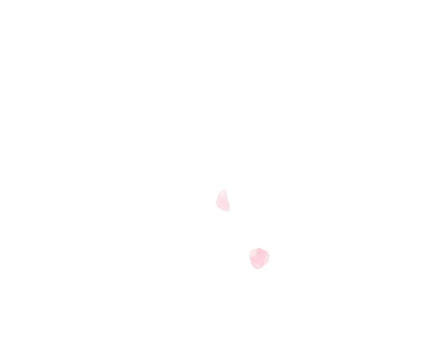 第204页
