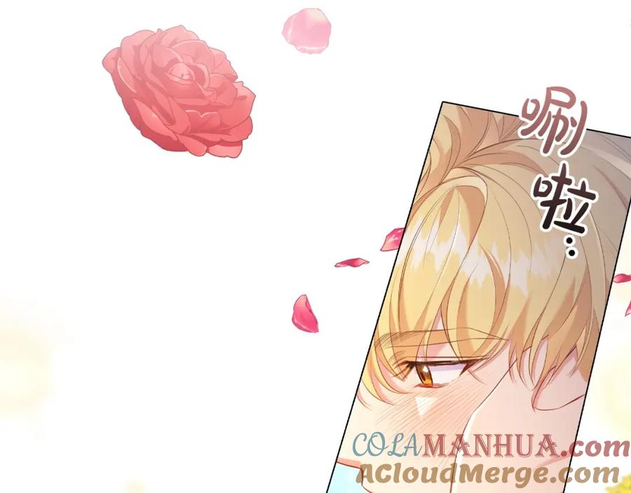 第205页
