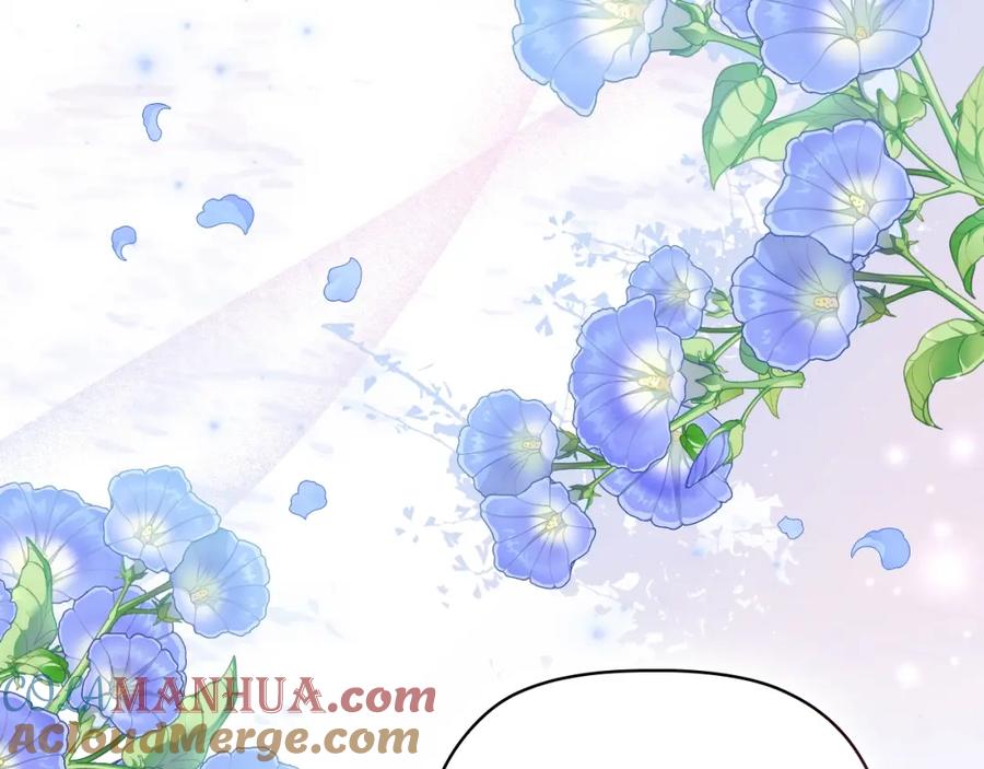第226页