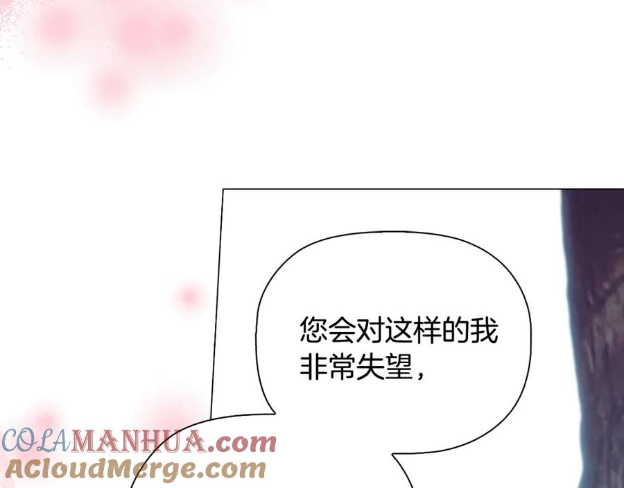 第242页