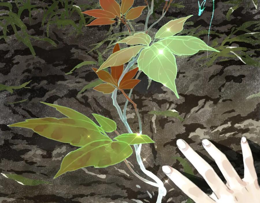 第11页