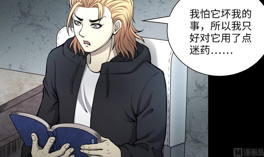 第42页