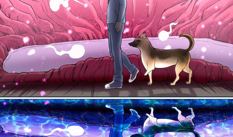 第71页