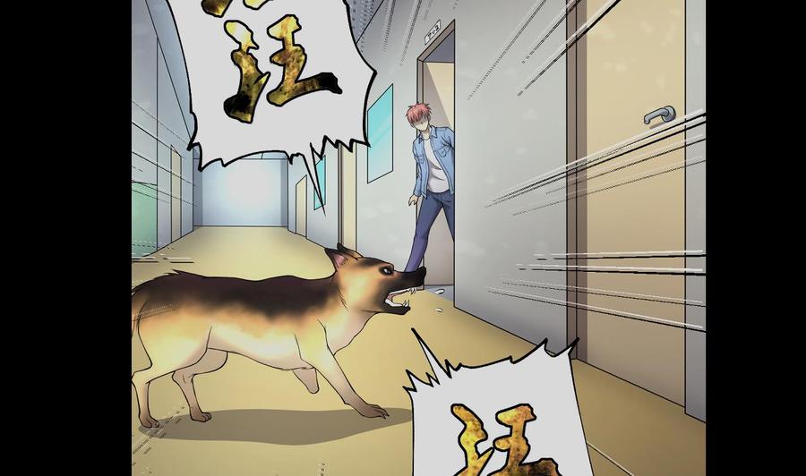 第35页
