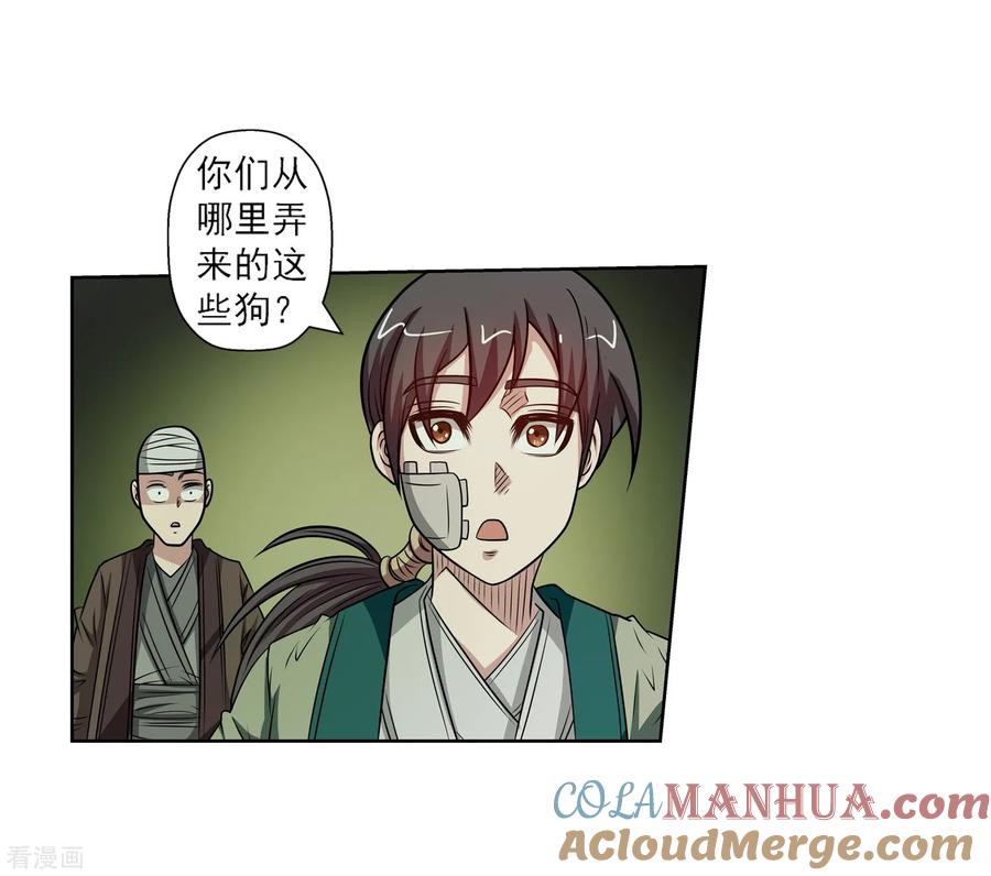 第43页