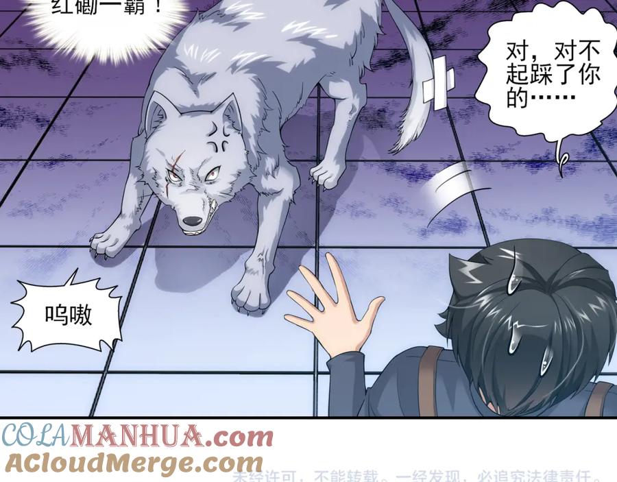 第43页