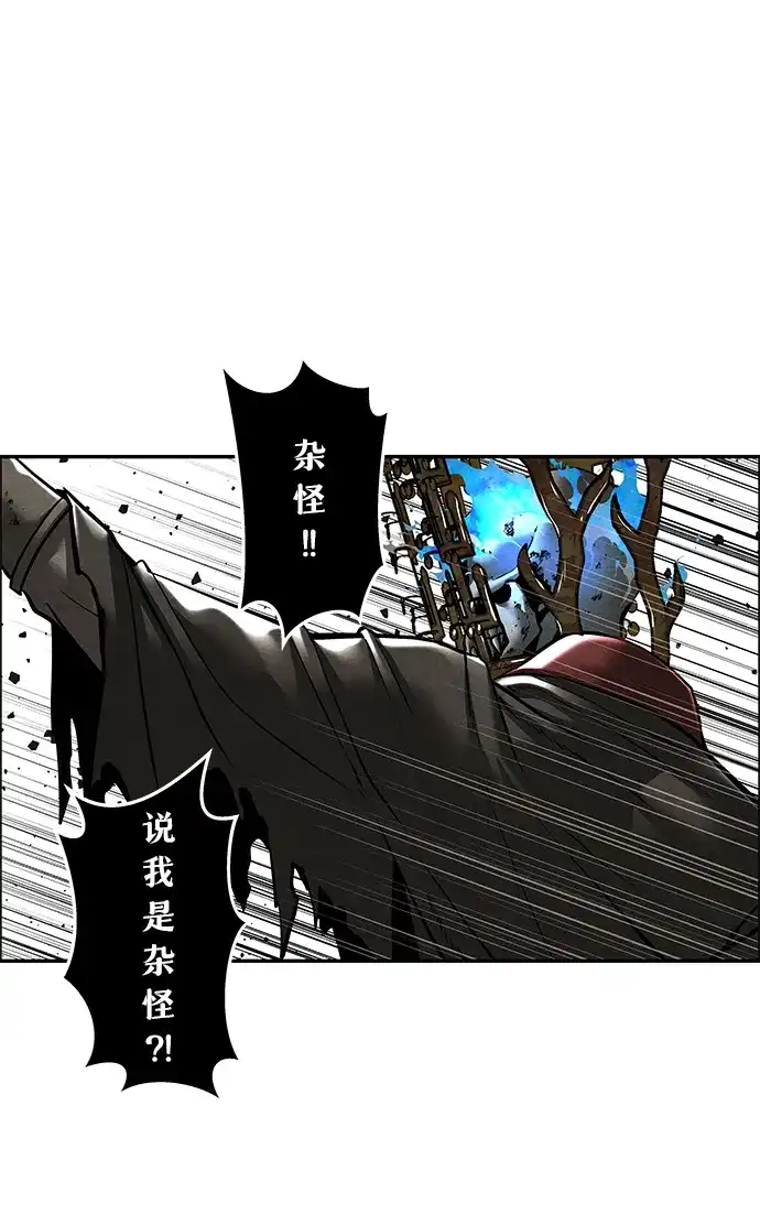第204页