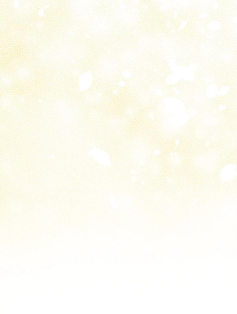 第242页