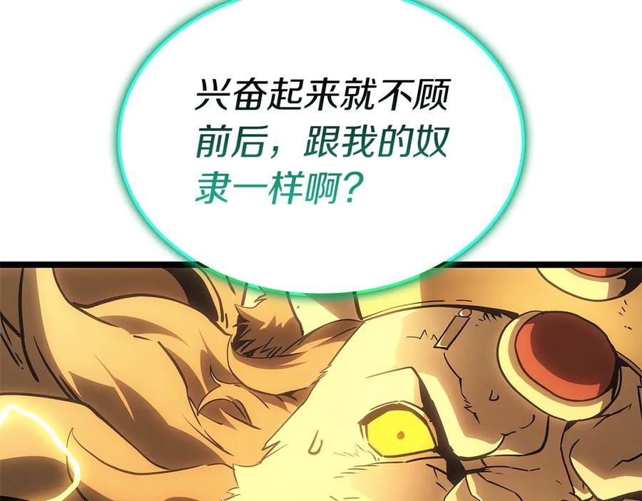 第243页