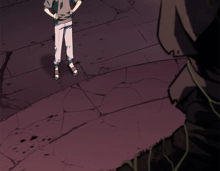 第231页