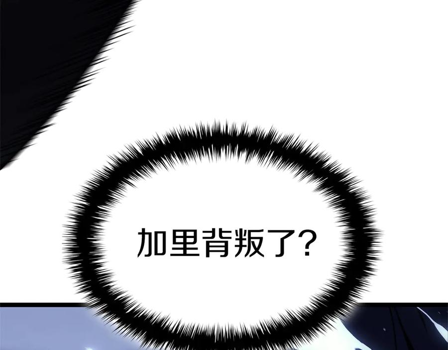 第242页