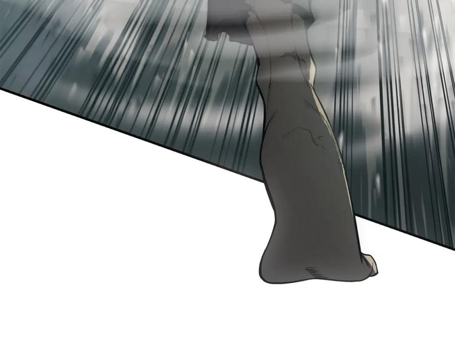 第243页
