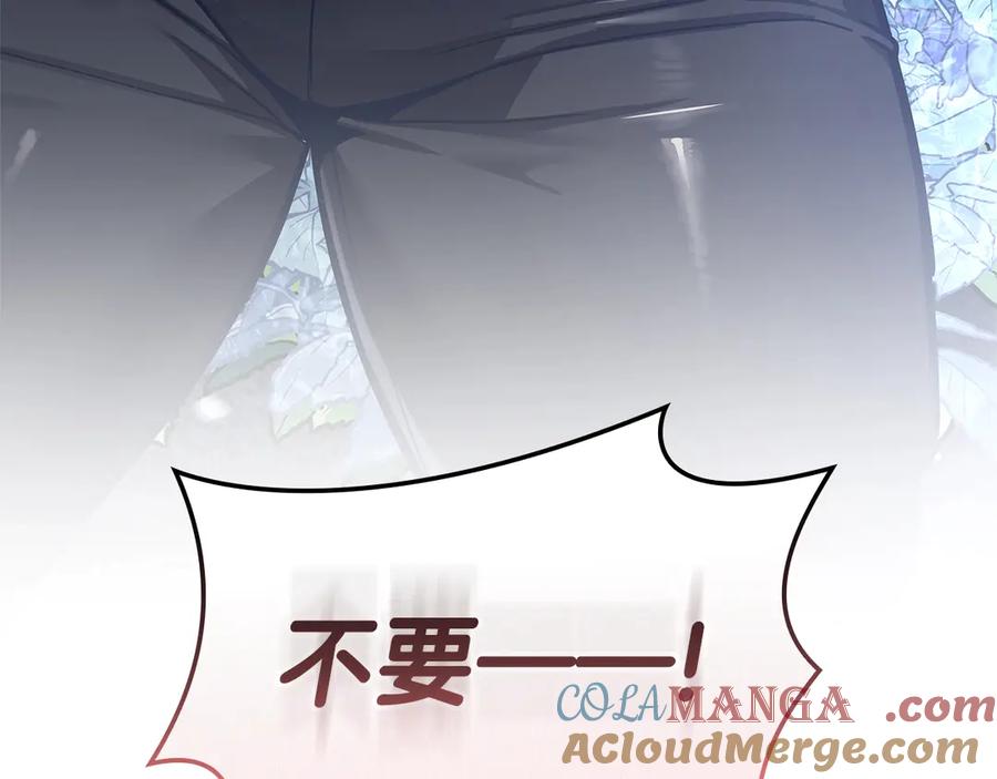 第221页