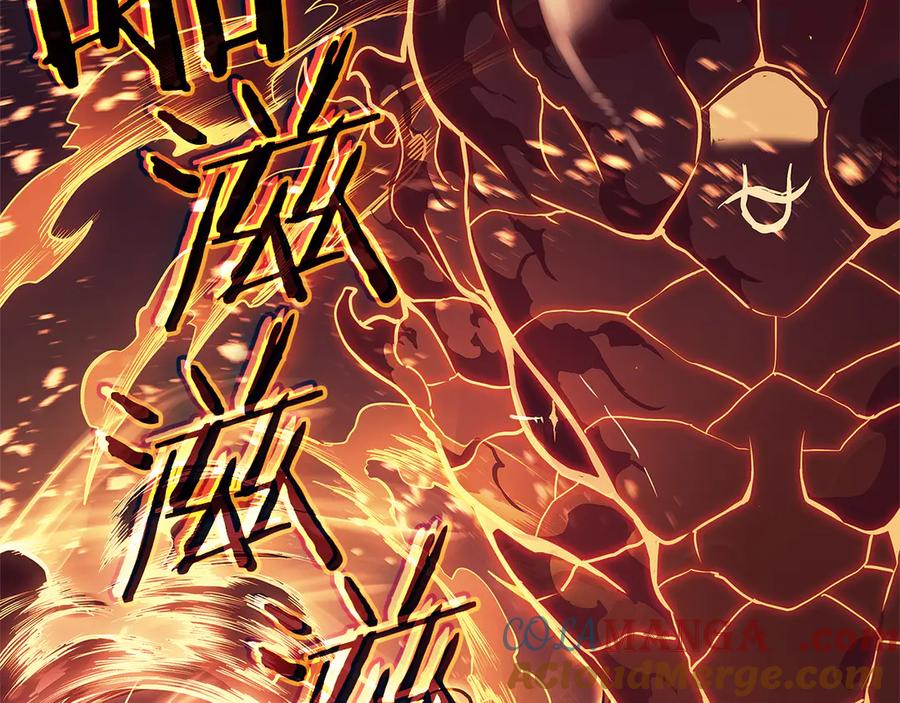 第205页