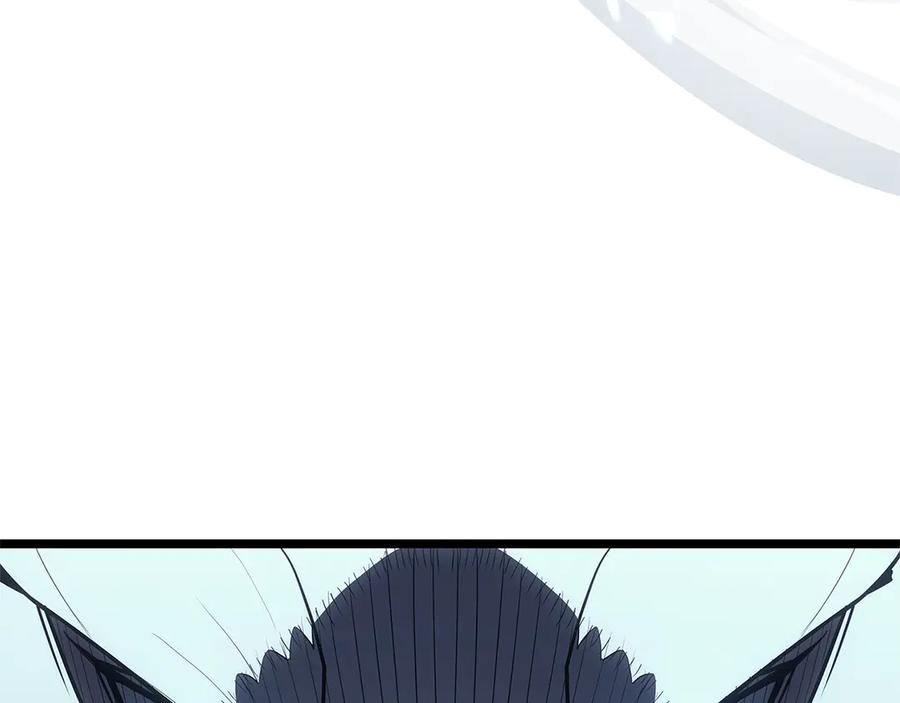 第262页