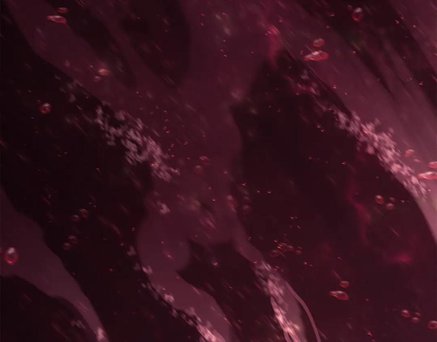 第251页