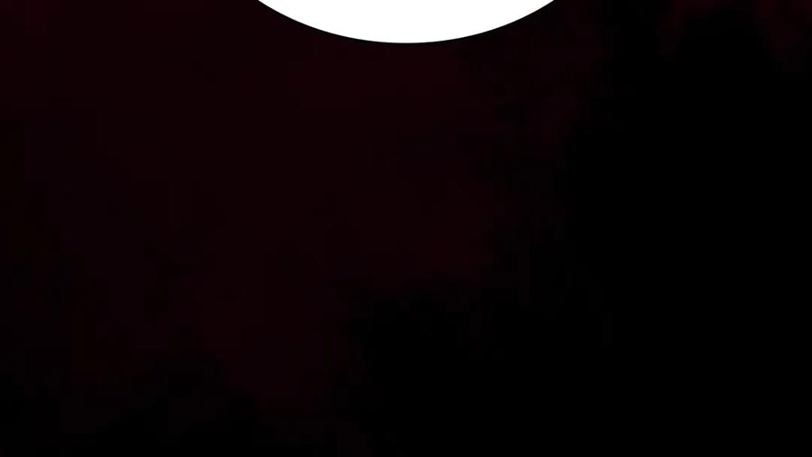 第248页