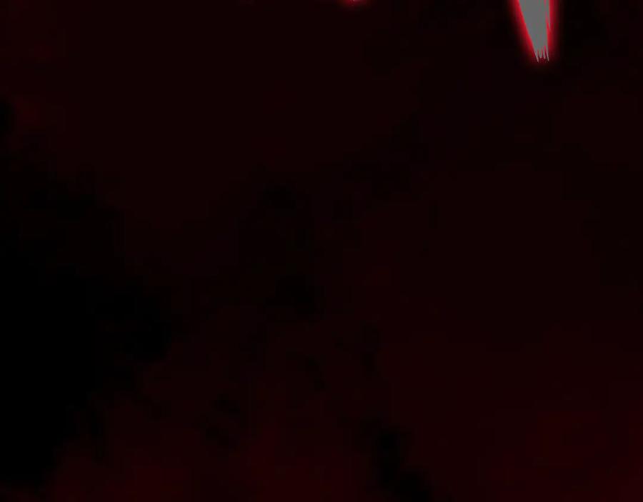 第260页
