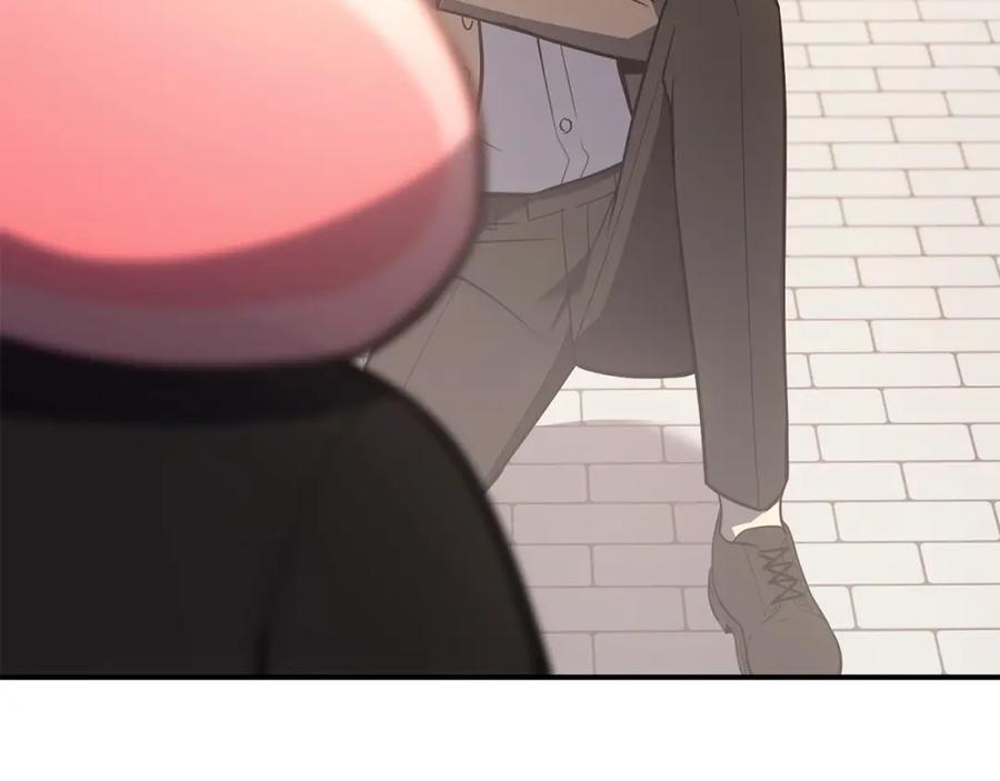 第238页